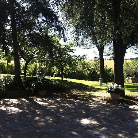 Villa Nunzia Cupramontana ภายนอก รูปภาพ