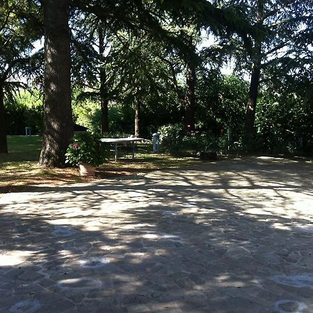 Villa Nunzia Cupramontana ภายนอก รูปภาพ