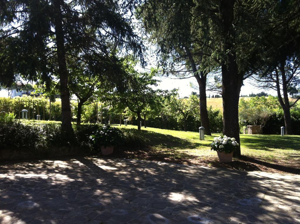 Villa Nunzia Cupramontana ภายนอก รูปภาพ