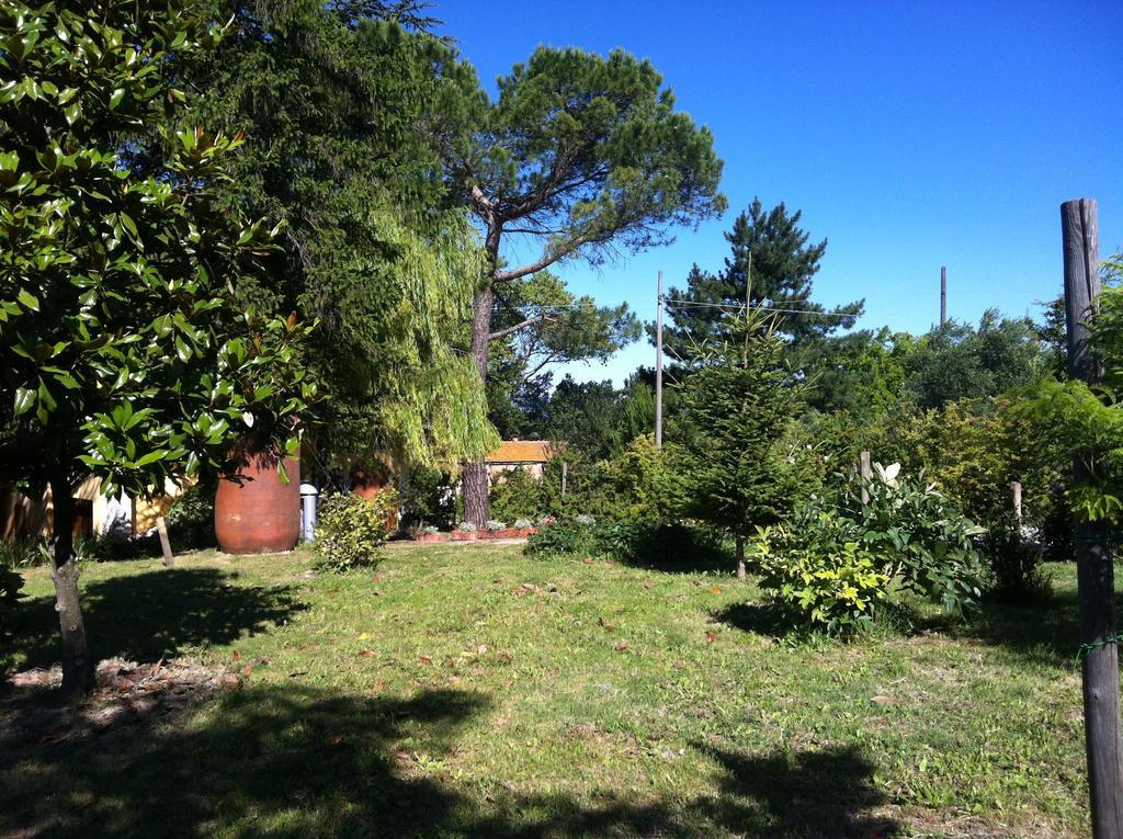 Villa Nunzia Cupramontana ภายนอก รูปภาพ